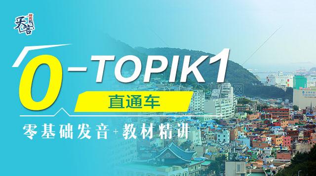 0~TOPIK1直通车